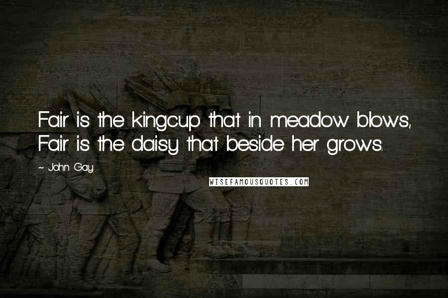 John Gay Quotes: Fair is the kingcup that in meadow blows, Fair is the daisy that beside her grows.