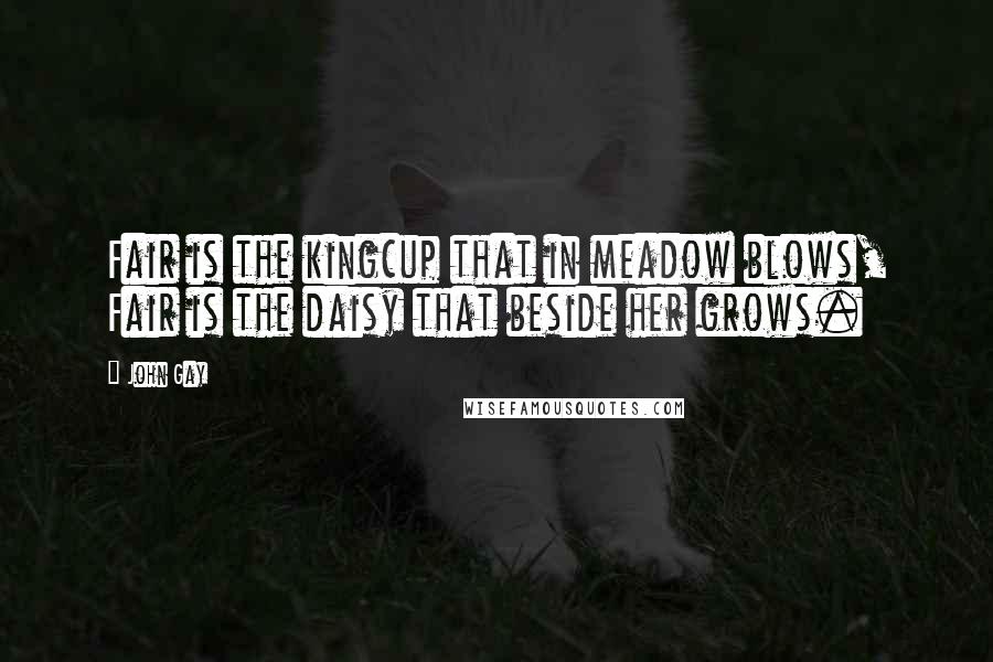 John Gay Quotes: Fair is the kingcup that in meadow blows, Fair is the daisy that beside her grows.