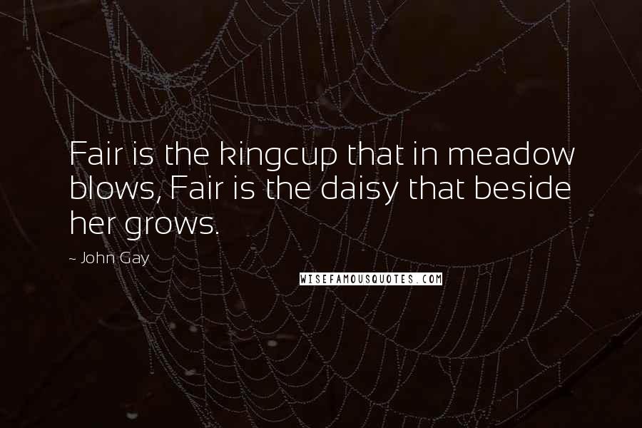 John Gay Quotes: Fair is the kingcup that in meadow blows, Fair is the daisy that beside her grows.