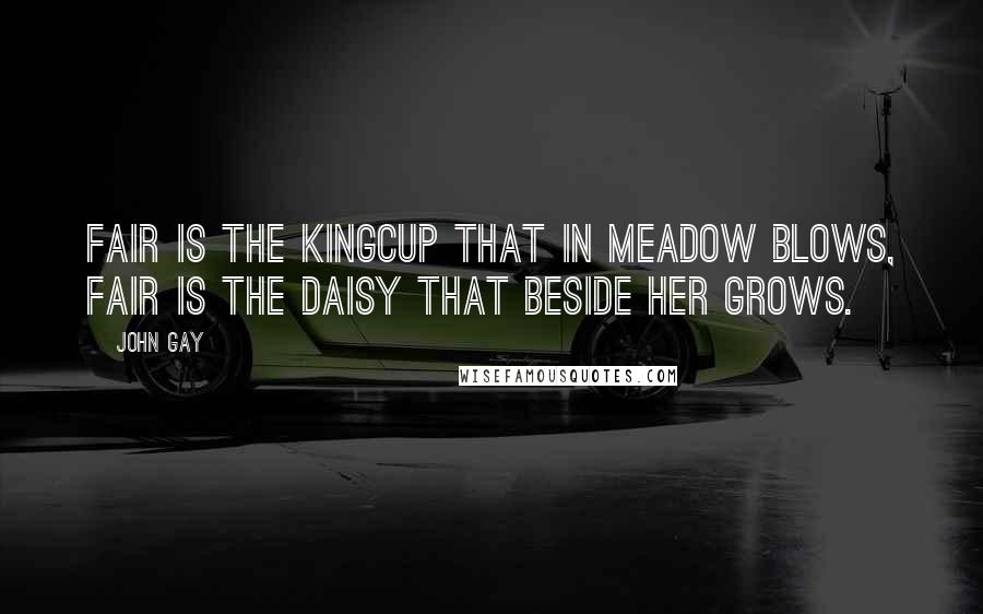 John Gay Quotes: Fair is the kingcup that in meadow blows, Fair is the daisy that beside her grows.