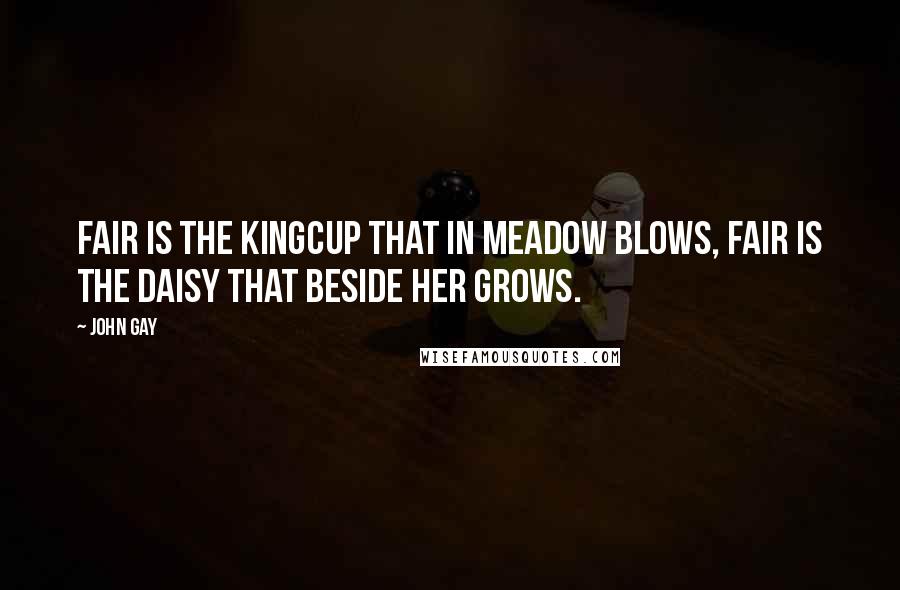 John Gay Quotes: Fair is the kingcup that in meadow blows, Fair is the daisy that beside her grows.