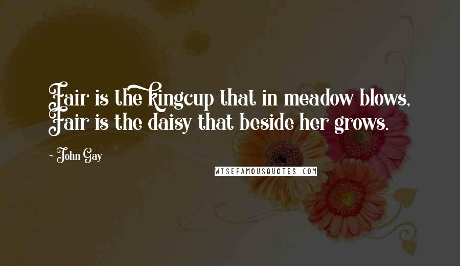 John Gay Quotes: Fair is the kingcup that in meadow blows, Fair is the daisy that beside her grows.