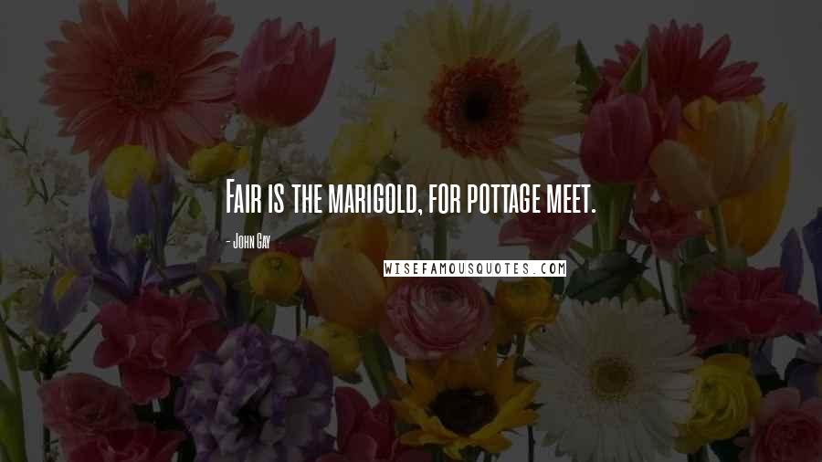 John Gay Quotes: Fair is the marigold, for pottage meet.