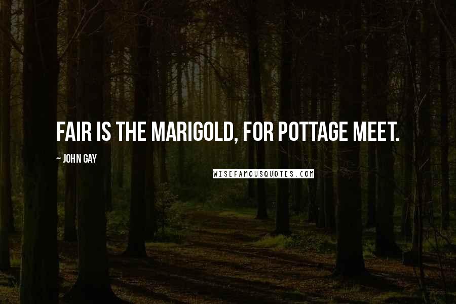 John Gay Quotes: Fair is the marigold, for pottage meet.