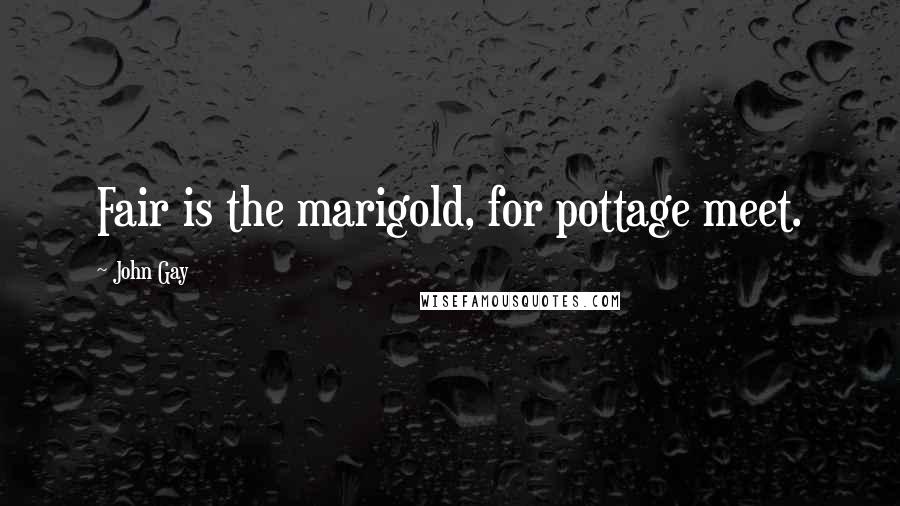 John Gay Quotes: Fair is the marigold, for pottage meet.