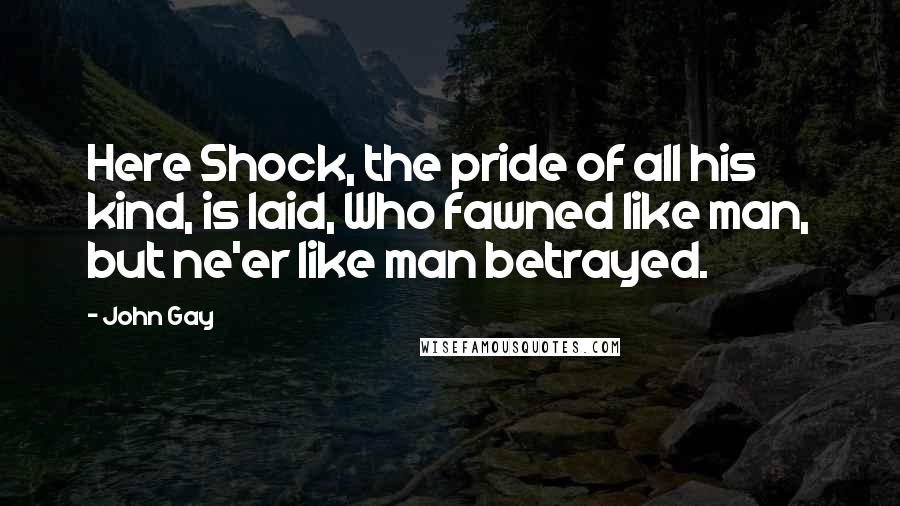 John Gay Quotes: Here Shock, the pride of all his kind, is laid, Who fawned like man, but ne'er like man betrayed.