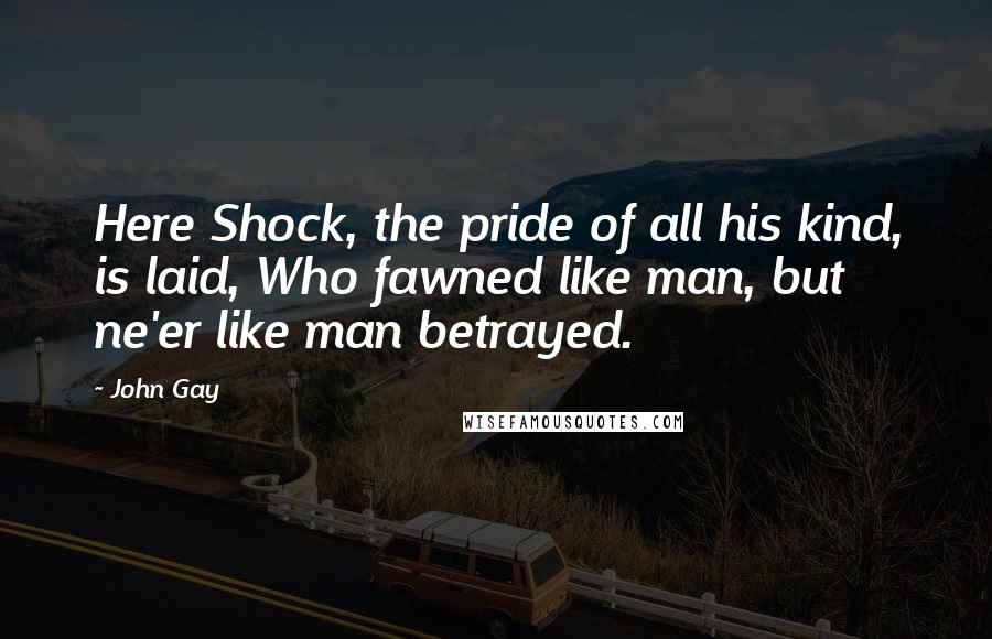 John Gay Quotes: Here Shock, the pride of all his kind, is laid, Who fawned like man, but ne'er like man betrayed.