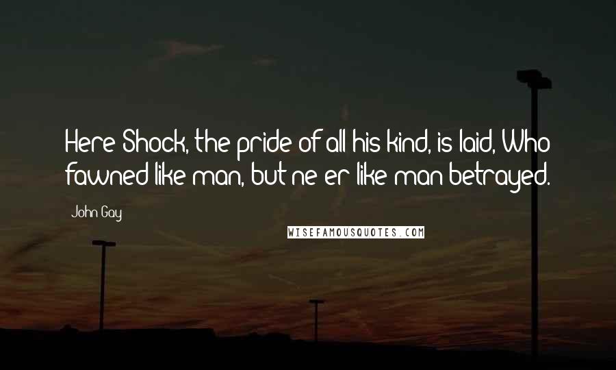 John Gay Quotes: Here Shock, the pride of all his kind, is laid, Who fawned like man, but ne'er like man betrayed.