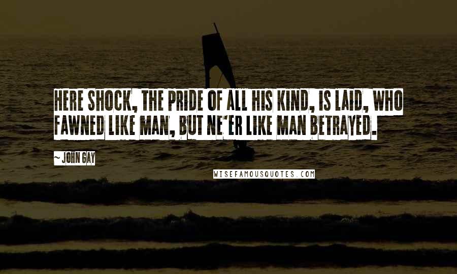 John Gay Quotes: Here Shock, the pride of all his kind, is laid, Who fawned like man, but ne'er like man betrayed.