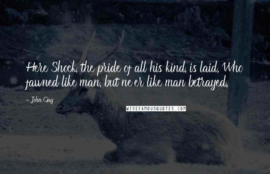 John Gay Quotes: Here Shock, the pride of all his kind, is laid, Who fawned like man, but ne'er like man betrayed.