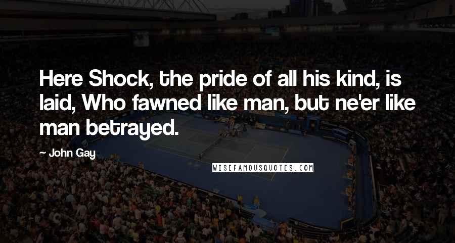 John Gay Quotes: Here Shock, the pride of all his kind, is laid, Who fawned like man, but ne'er like man betrayed.