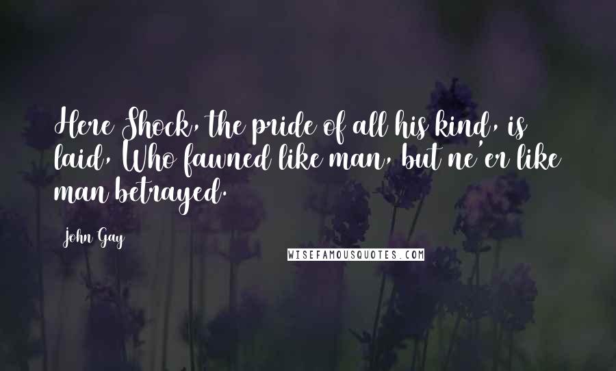 John Gay Quotes: Here Shock, the pride of all his kind, is laid, Who fawned like man, but ne'er like man betrayed.