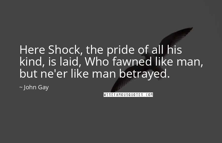 John Gay Quotes: Here Shock, the pride of all his kind, is laid, Who fawned like man, but ne'er like man betrayed.