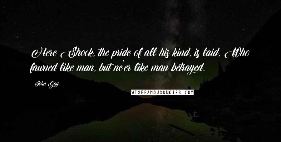 John Gay Quotes: Here Shock, the pride of all his kind, is laid, Who fawned like man, but ne'er like man betrayed.