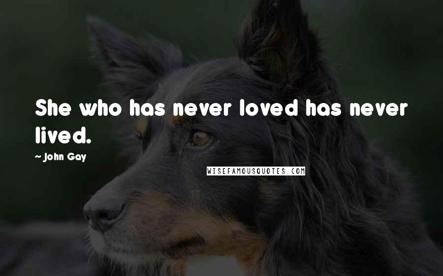 John Gay Quotes: She who has never loved has never lived.