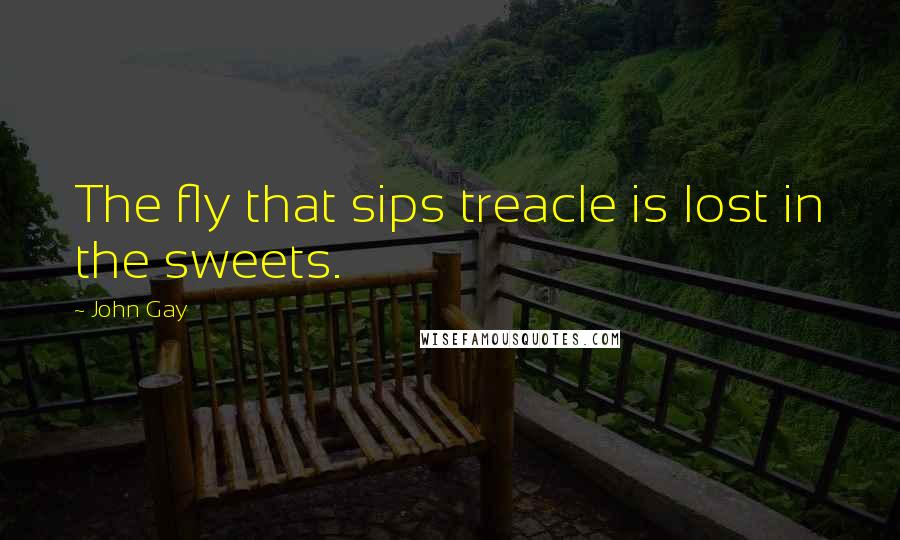 John Gay Quotes: The fly that sips treacle is lost in the sweets.
