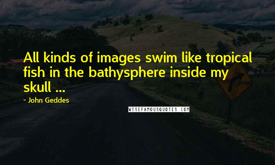 John Geddes Quotes: All kinds of images swim like tropical fish in the bathysphere inside my skull ...
