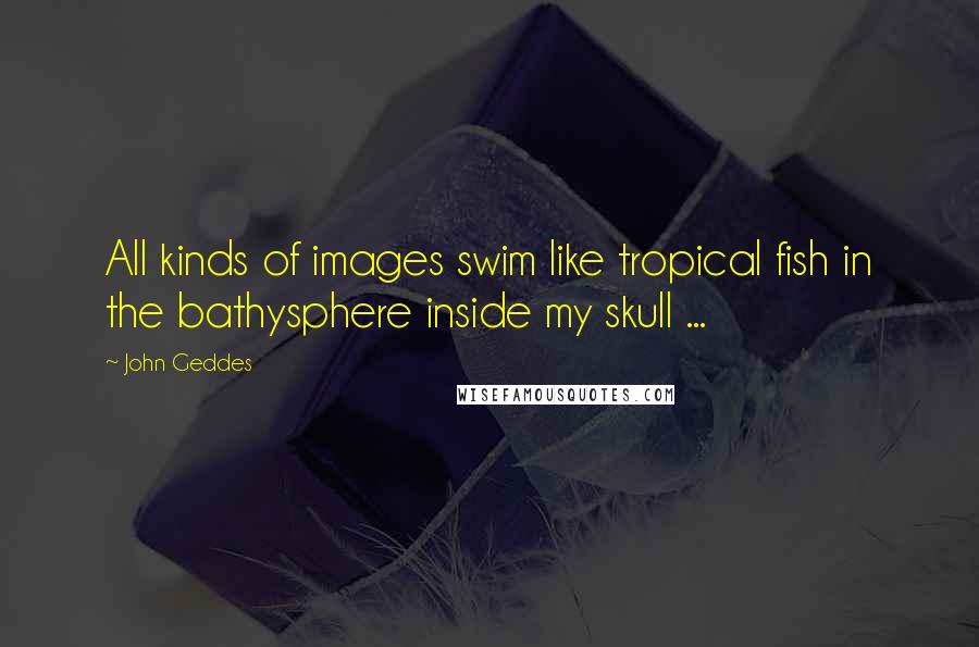 John Geddes Quotes: All kinds of images swim like tropical fish in the bathysphere inside my skull ...