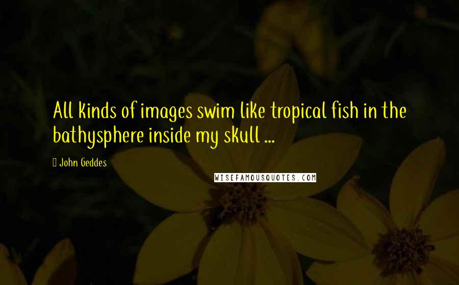 John Geddes Quotes: All kinds of images swim like tropical fish in the bathysphere inside my skull ...