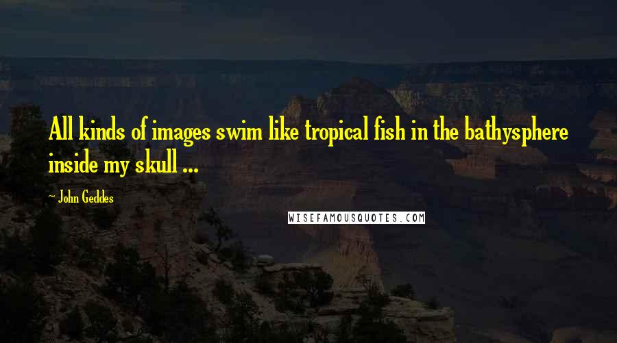 John Geddes Quotes: All kinds of images swim like tropical fish in the bathysphere inside my skull ...