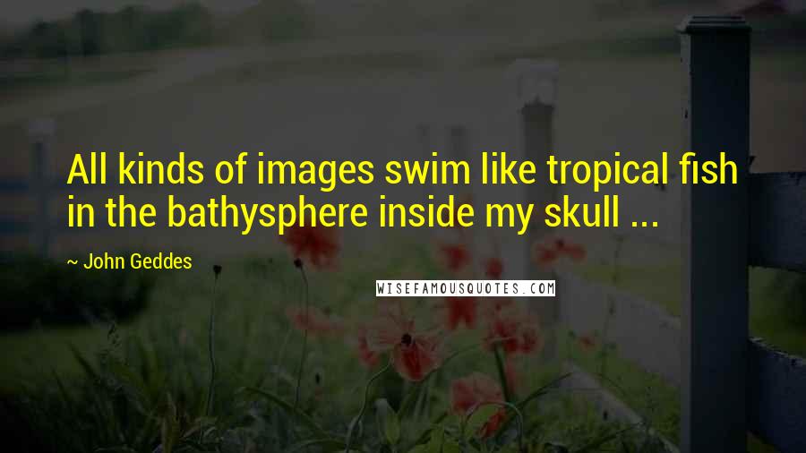 John Geddes Quotes: All kinds of images swim like tropical fish in the bathysphere inside my skull ...