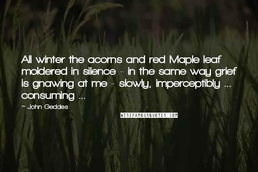 John Geddes Quotes: All winter the acorns and red Maple leaf moldered in silence - in the same way grief is gnawing at me - slowly, imperceptibly ... consuming ...