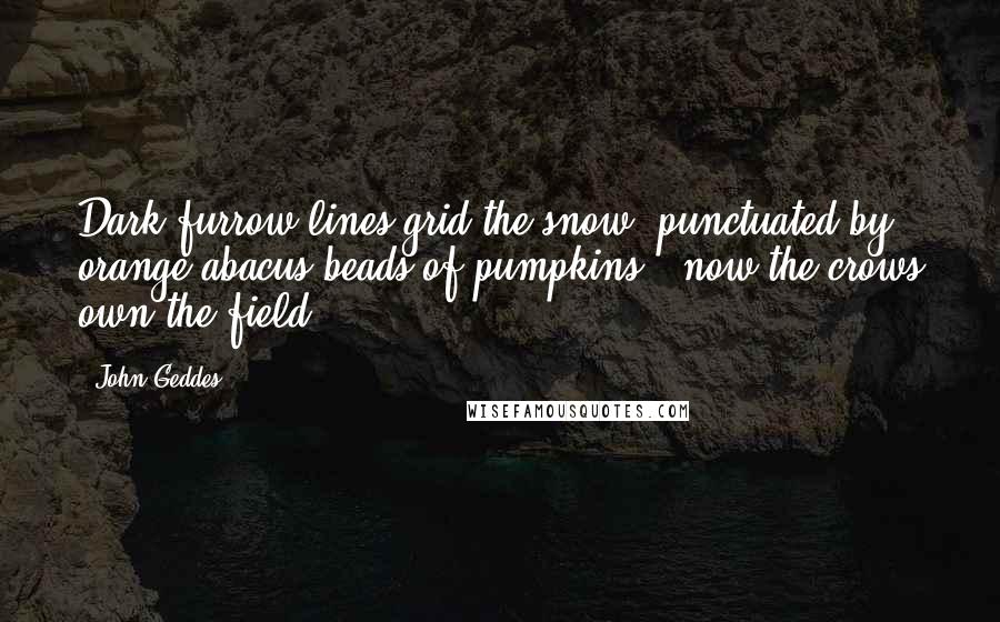 John Geddes Quotes: Dark furrow lines grid the snow, punctuated by orange abacus beads of pumpkins - now the crows own the field ...