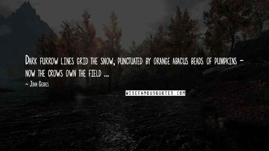 John Geddes Quotes: Dark furrow lines grid the snow, punctuated by orange abacus beads of pumpkins - now the crows own the field ...