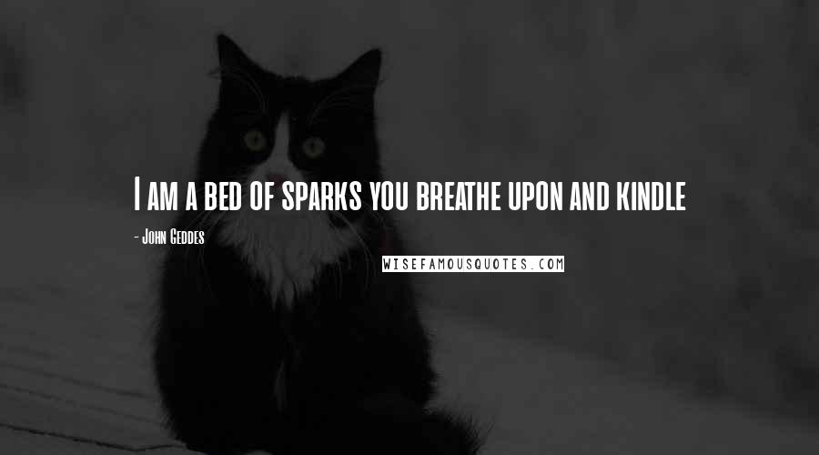 John Geddes Quotes: I am a bed of sparks you breathe upon and kindle