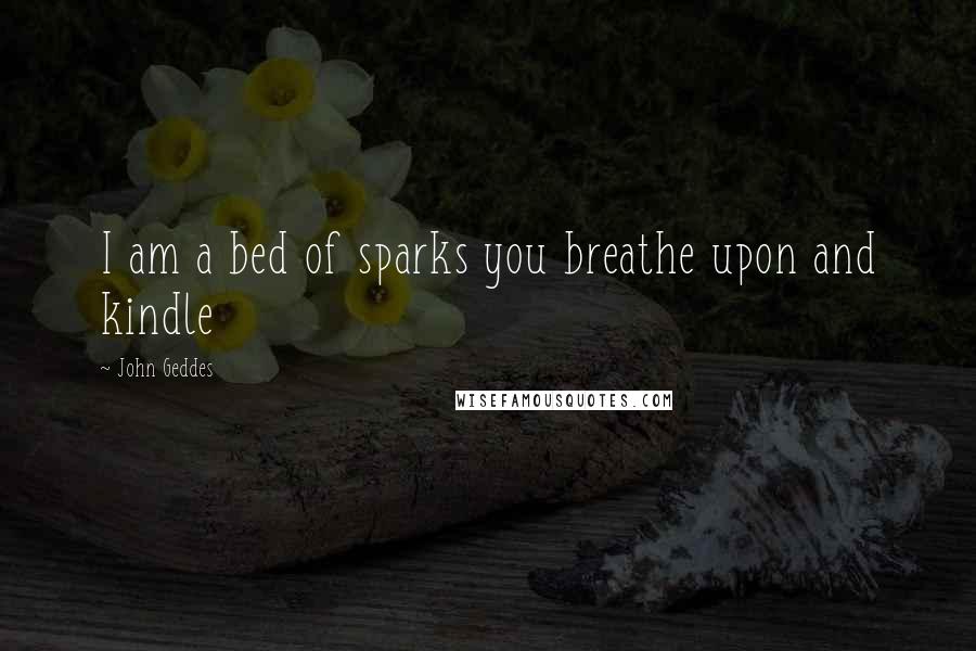 John Geddes Quotes: I am a bed of sparks you breathe upon and kindle