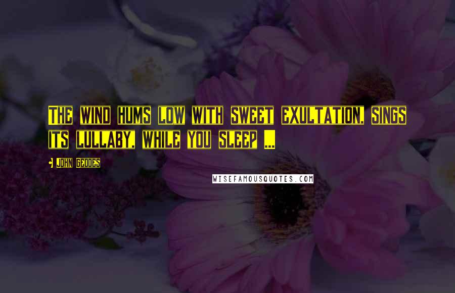 John Geddes Quotes: The wind hums low with sweet exultation, sings its lullaby, while you sleep ...