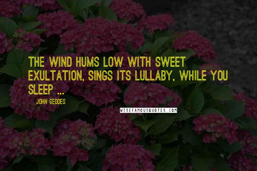 John Geddes Quotes: The wind hums low with sweet exultation, sings its lullaby, while you sleep ...