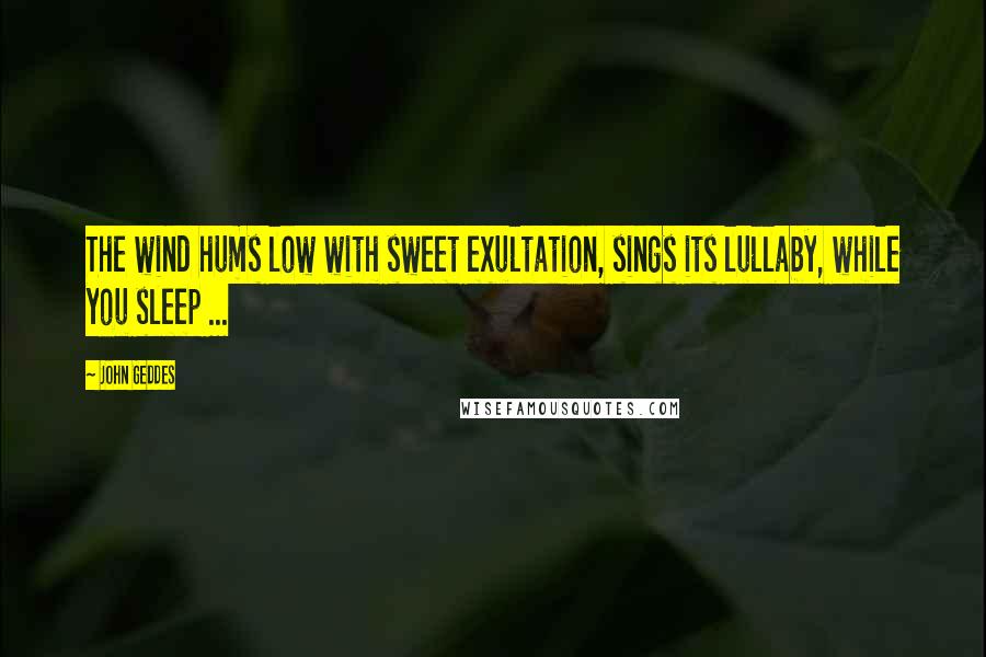 John Geddes Quotes: The wind hums low with sweet exultation, sings its lullaby, while you sleep ...