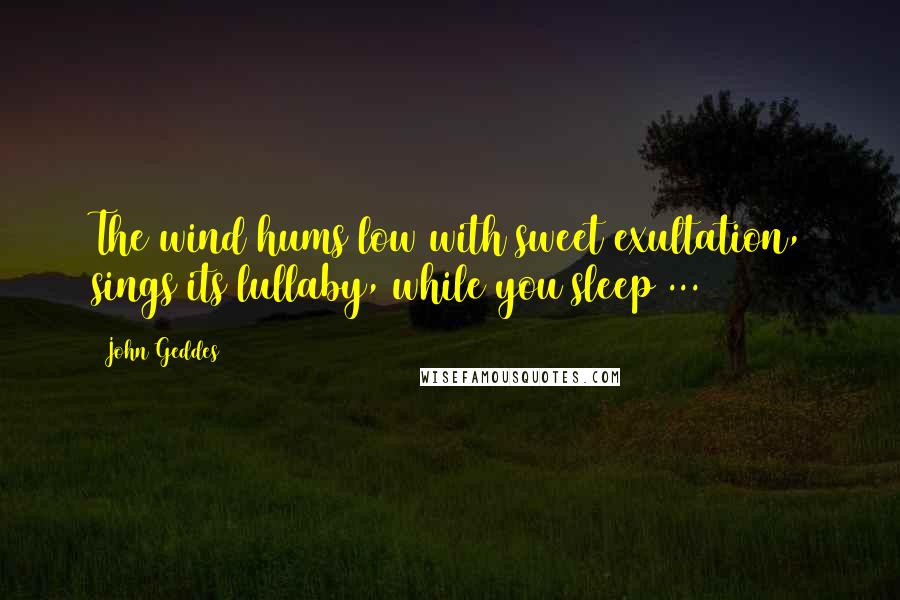 John Geddes Quotes: The wind hums low with sweet exultation, sings its lullaby, while you sleep ...
