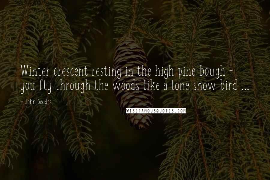 John Geddes Quotes: Winter crescent resting in the high pine bough - you fly through the woods like a lone snow bird ...