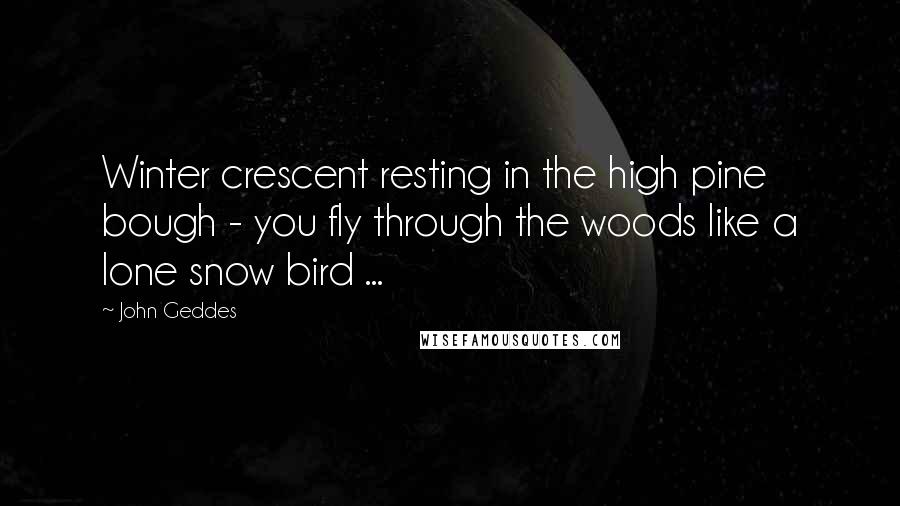 John Geddes Quotes: Winter crescent resting in the high pine bough - you fly through the woods like a lone snow bird ...