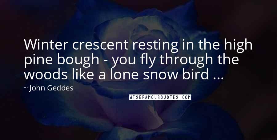 John Geddes Quotes: Winter crescent resting in the high pine bough - you fly through the woods like a lone snow bird ...