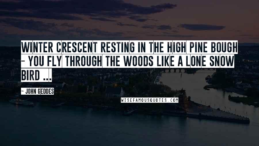 John Geddes Quotes: Winter crescent resting in the high pine bough - you fly through the woods like a lone snow bird ...