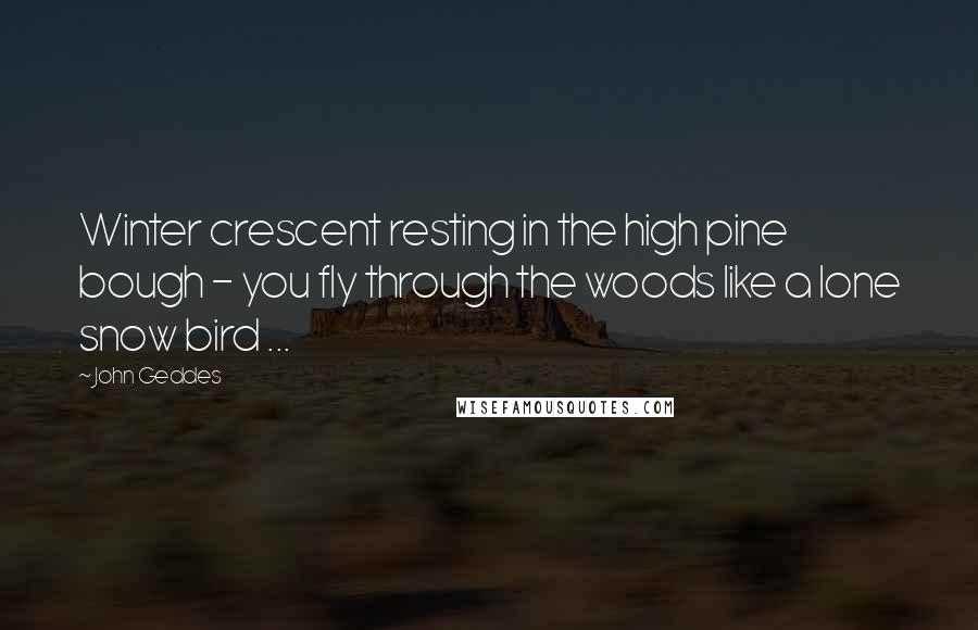 John Geddes Quotes: Winter crescent resting in the high pine bough - you fly through the woods like a lone snow bird ...