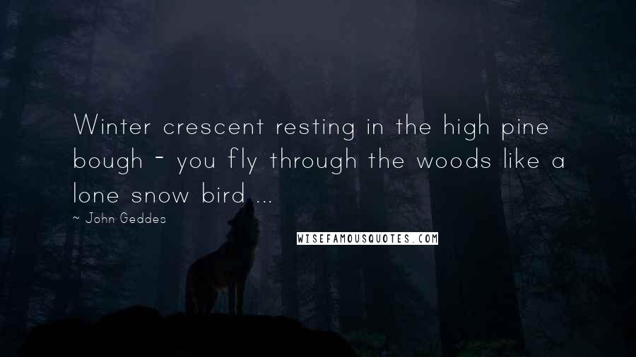 John Geddes Quotes: Winter crescent resting in the high pine bough - you fly through the woods like a lone snow bird ...