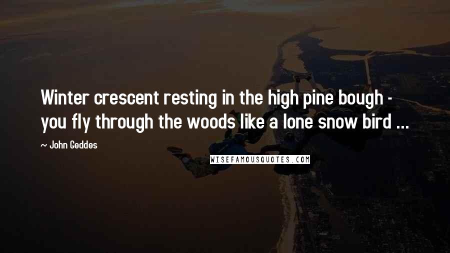 John Geddes Quotes: Winter crescent resting in the high pine bough - you fly through the woods like a lone snow bird ...