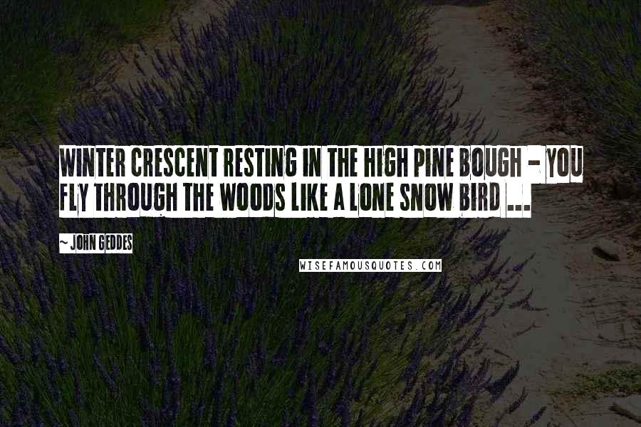 John Geddes Quotes: Winter crescent resting in the high pine bough - you fly through the woods like a lone snow bird ...