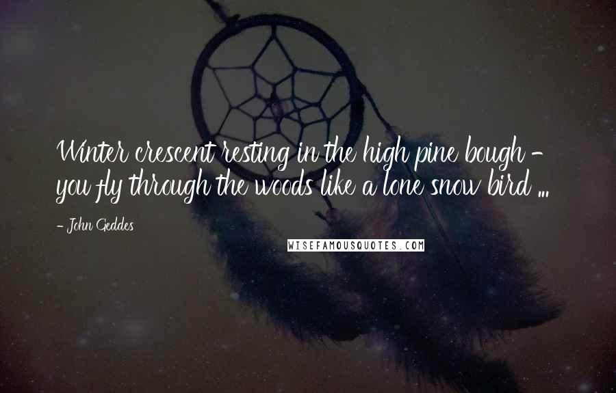 John Geddes Quotes: Winter crescent resting in the high pine bough - you fly through the woods like a lone snow bird ...