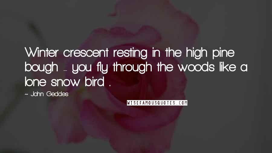 John Geddes Quotes: Winter crescent resting in the high pine bough - you fly through the woods like a lone snow bird ...