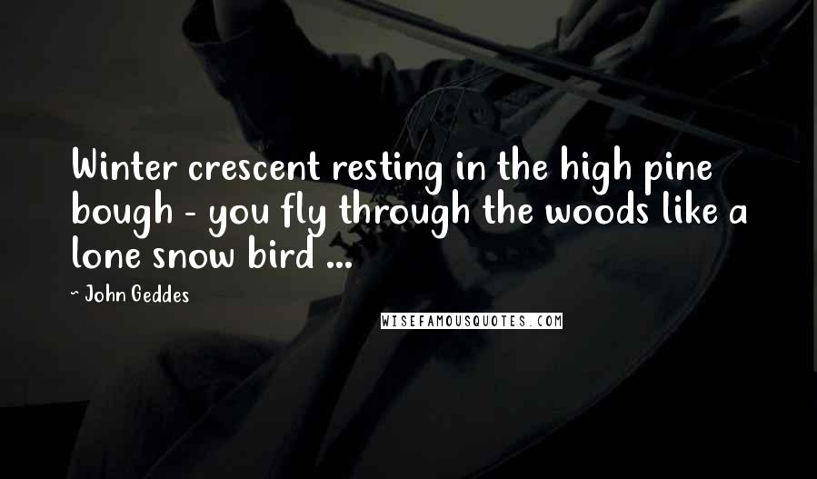 John Geddes Quotes: Winter crescent resting in the high pine bough - you fly through the woods like a lone snow bird ...