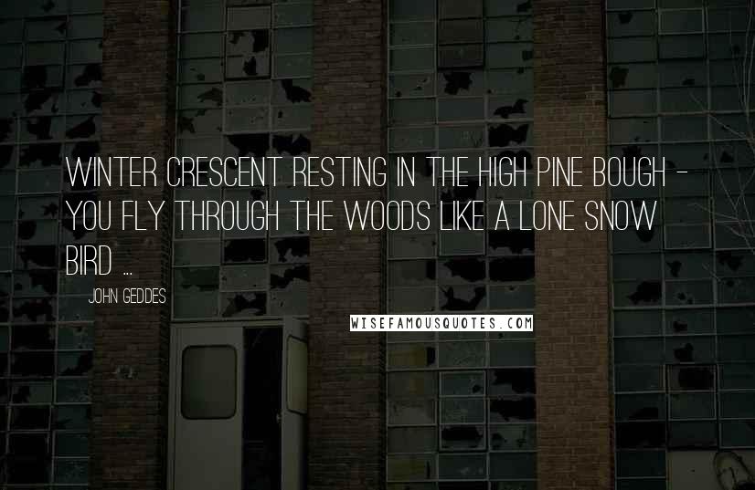 John Geddes Quotes: Winter crescent resting in the high pine bough - you fly through the woods like a lone snow bird ...