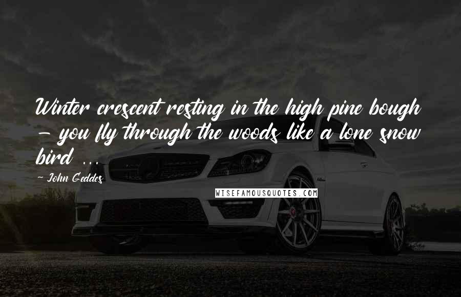 John Geddes Quotes: Winter crescent resting in the high pine bough - you fly through the woods like a lone snow bird ...