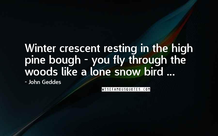 John Geddes Quotes: Winter crescent resting in the high pine bough - you fly through the woods like a lone snow bird ...