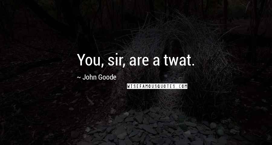 John Goode Quotes: You, sir, are a twat.