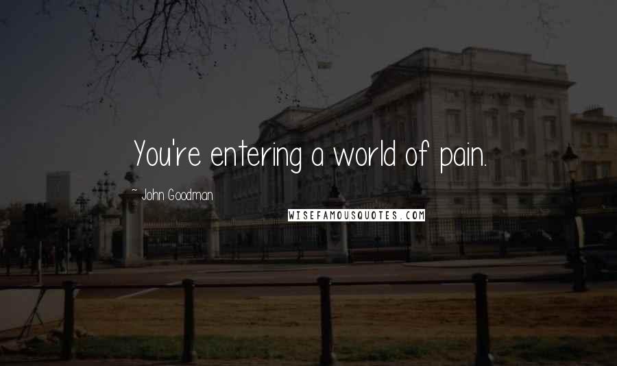 John Goodman Quotes: You're entering a world of pain.